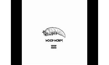 Wood Worm en Lyrics [Noel Miller]