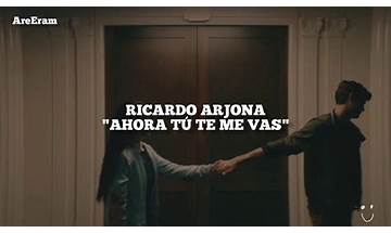 Y Ahora Tú Te Me Vas es Lyrics [Ricardo Arjona]