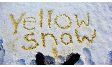 Yellow Snow! Yellow Snow! Yellow Snow! en Lyrics [Bob Rivers]