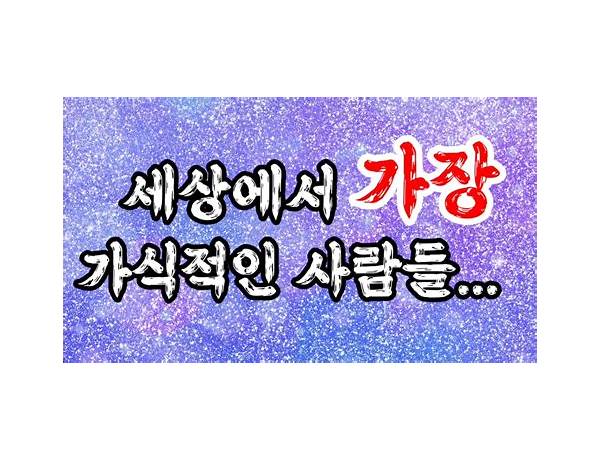 가식적인 사랑 en Lyrics [Never Sober Son]