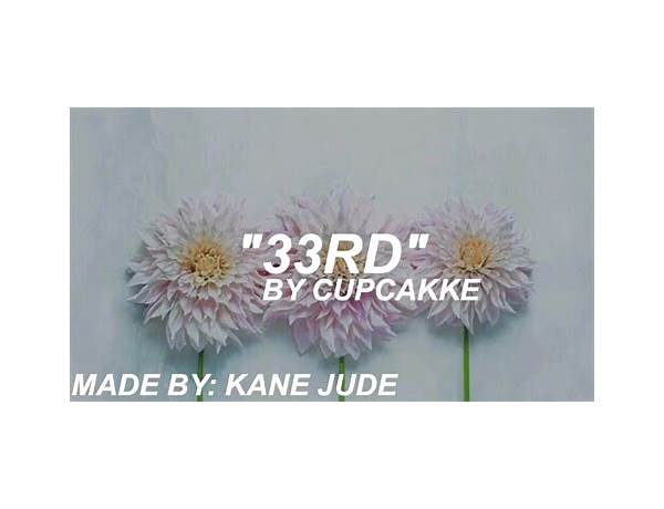 33rd en Lyrics [​cupcakKe]