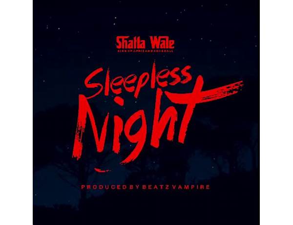 A Sleepless Night en Lyrics [David Werner]