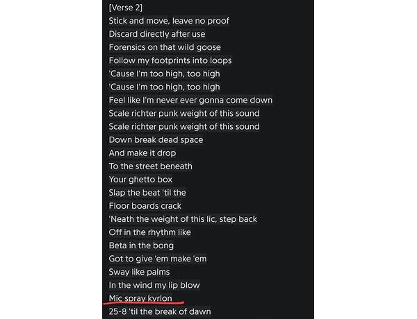 Adult Swim en Lyrics [Snaggle B]