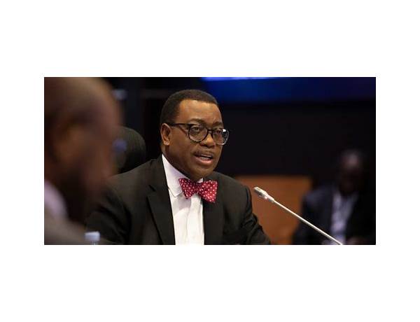 Africas ability to feed 9 billion people by 2050 achievable – Adesina