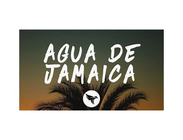 Agua de Jamaica en Lyrics [Maluma]