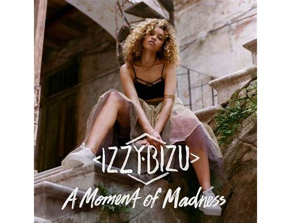 Album: A Moment Of Madness (Deluxe Edition), musical term