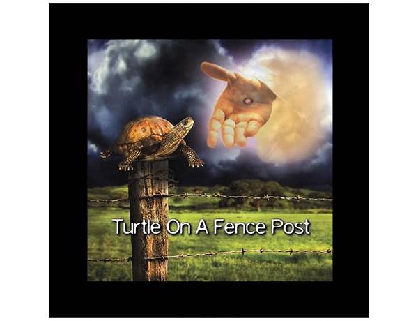 Album: A Turtle On A Fencepost, musical term