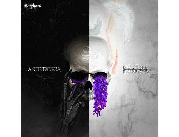 Album: Anhedonia, musical term