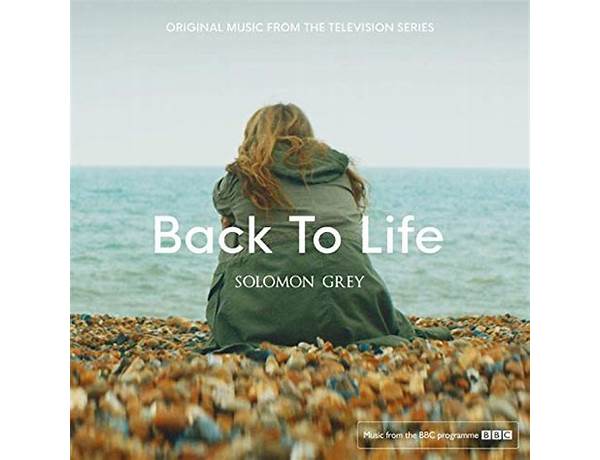 Album: Back To Life, musical term