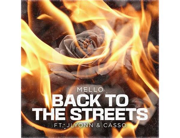 Album: Back To The Street, musical term