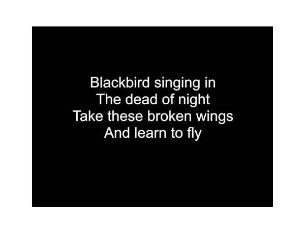 Album: Blackbird, musical term