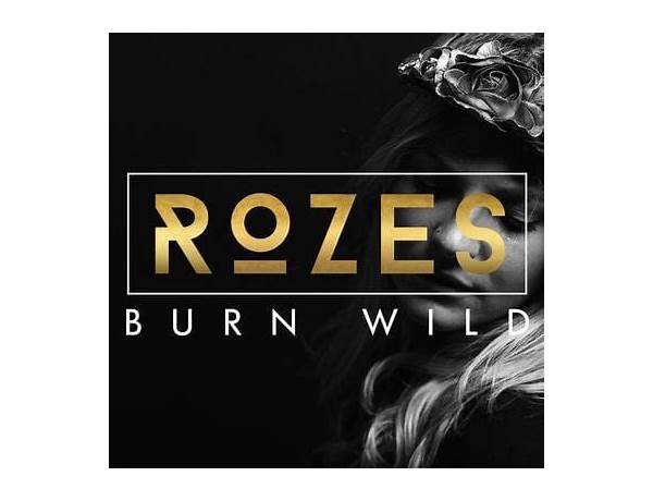 Album: Burn Wild, musical term