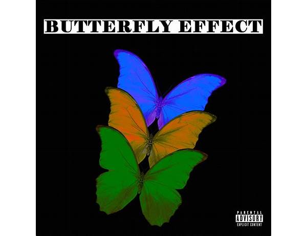 Album: Buttefly Effect, musical term