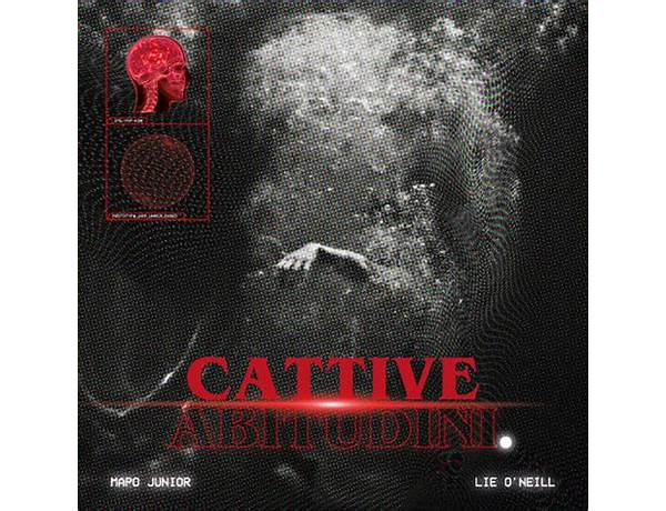 Album: Cattive Abitudini, musical term