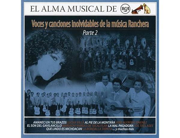 Album: Desde El Alma, musical term