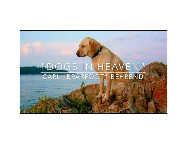 Album: Dogs In Heaven, musical term