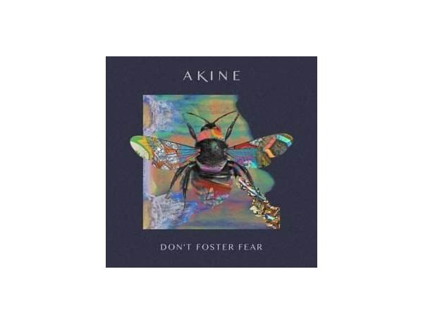 Album: Don't Foster Fear, musical term