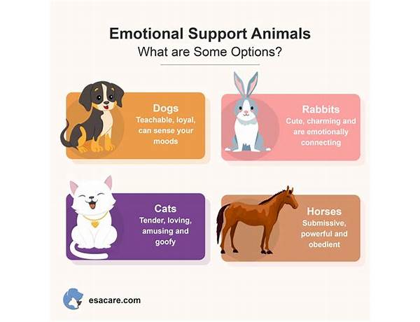 Album: Emotional Support Animal, musical term