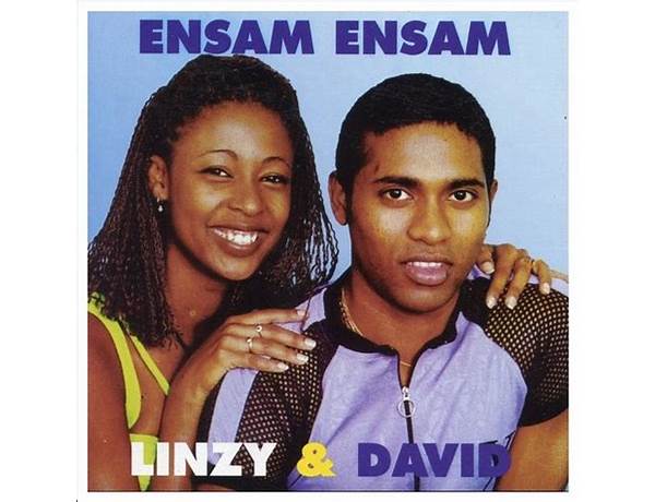 Album: Ensam, musical term