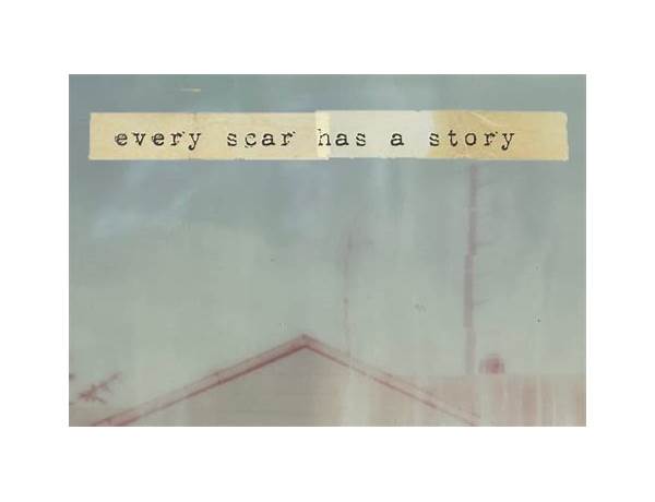 Album: Every Scar Has A Story, musical term