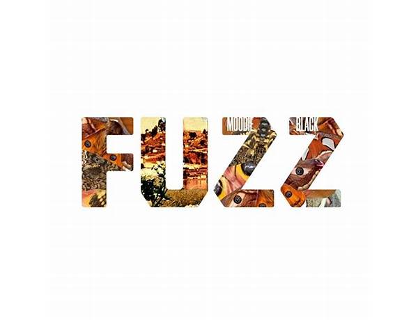 Album: F U Z Z, musical term