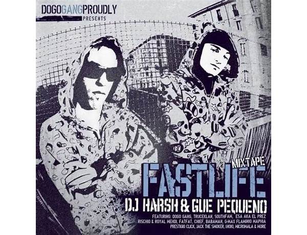 Album: Fastlife Mixtape Vol. 1, musical term