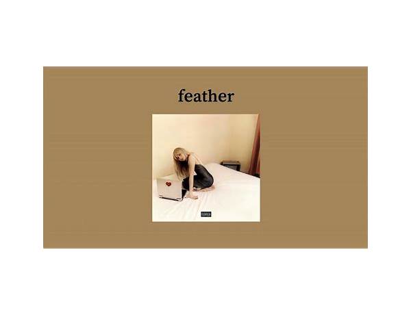 Album: Feathers, musical term