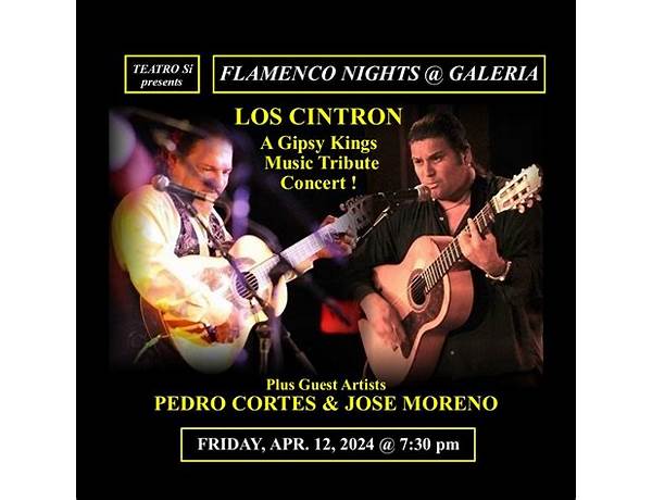 Album: Flamenco Nights, musical term