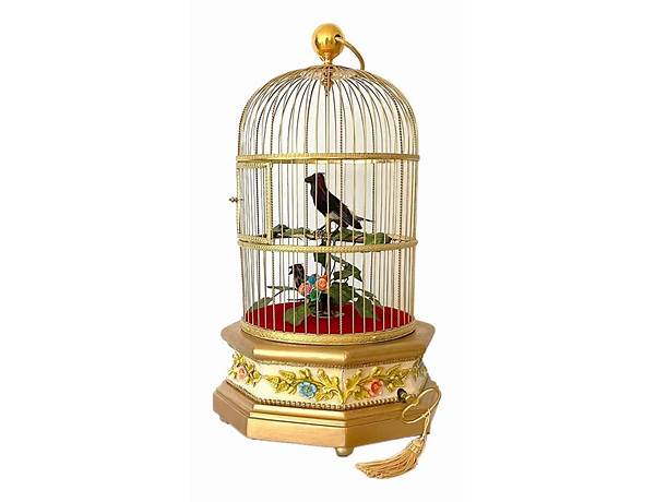 Album: From The Bird's Cage, musical term