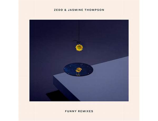 Album: Funny (Remixes), musical term