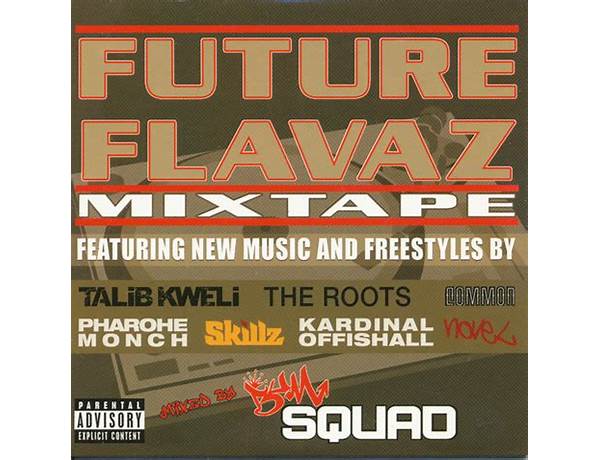 Album: Future Flavas Mixtape, musical term
