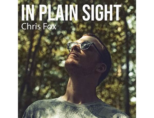 Album: In Plain Sight, musical term