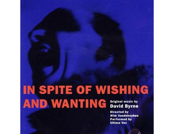 Album: In Spite Of Wishing And Wanting, musical term