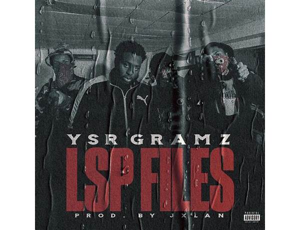 Album: LSP Files, musical term