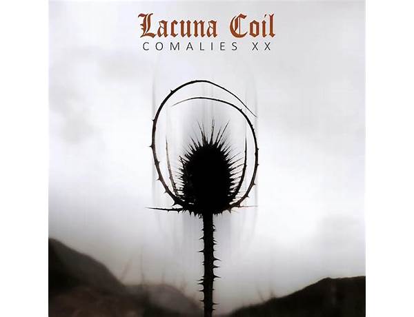 Album: Lacuna, musical term