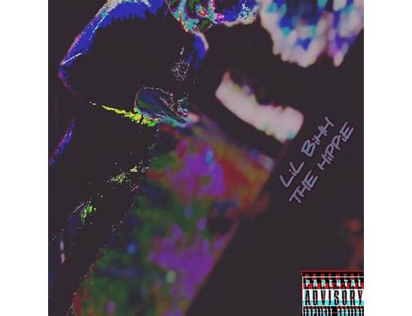 Album: LiL BiHH THE HiPPiE, musical term