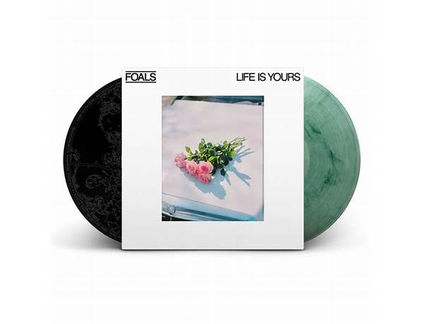 Album: Life Is Yours (Deluxe), musical term