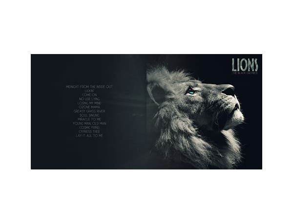 Album: Lions, musical term