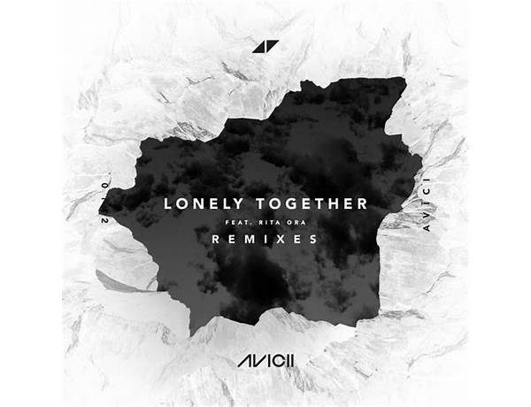Album: Lonely Together (Remixes), musical term