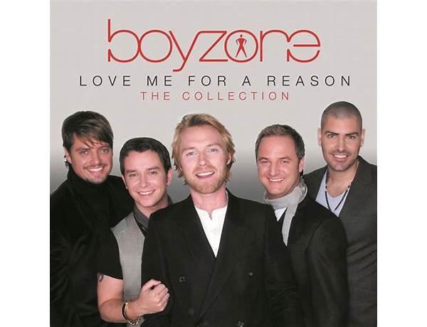 Album: Love Me For A Reason, musical term