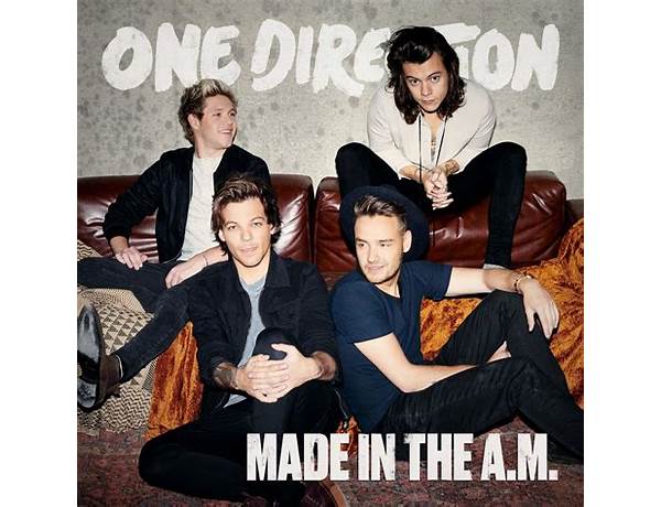 Album: Made In The AM, musical term