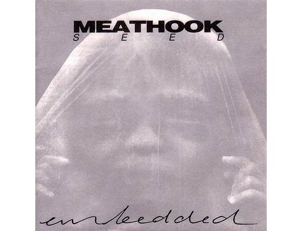 Album: Meathook, musical term