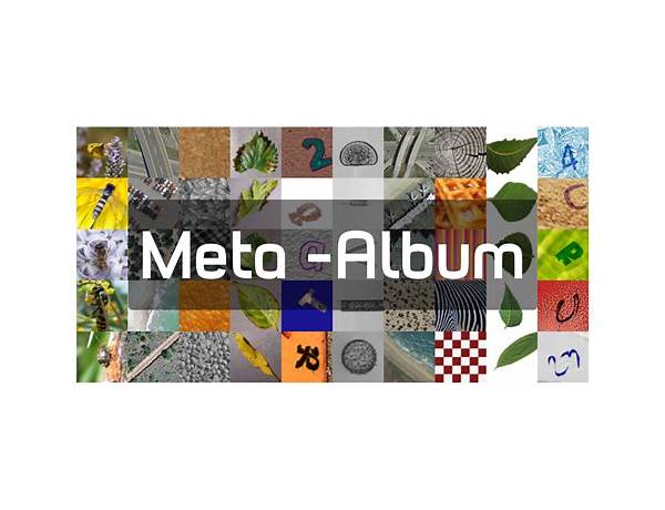 Album: Meta, musical term