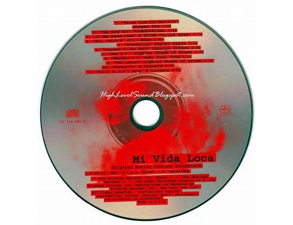 Album: Mi Vida Loca, musical term