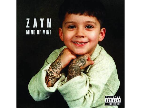 Album: Mind Of Mine (Bonus Edition), musical term