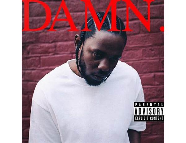 Album: Mr. Got Damn, musical term