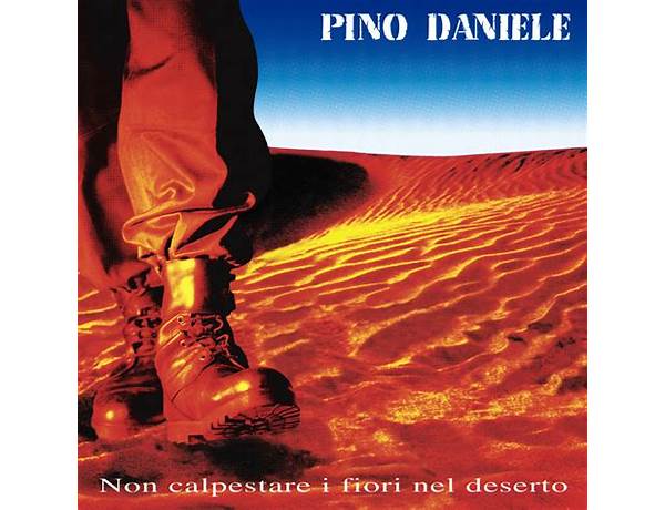 Album: Non Calpestare I Fiori Nel Deserto, musical term