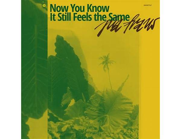 Album: Now You Know It Still Feels The Same, musical term