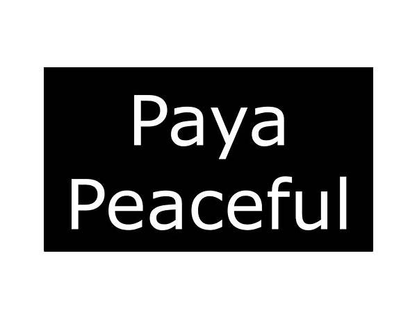 Album: Paya Peacefull 00 EP, musical term