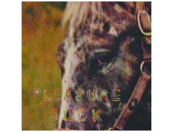 Album: Pleasure Suck, musical term